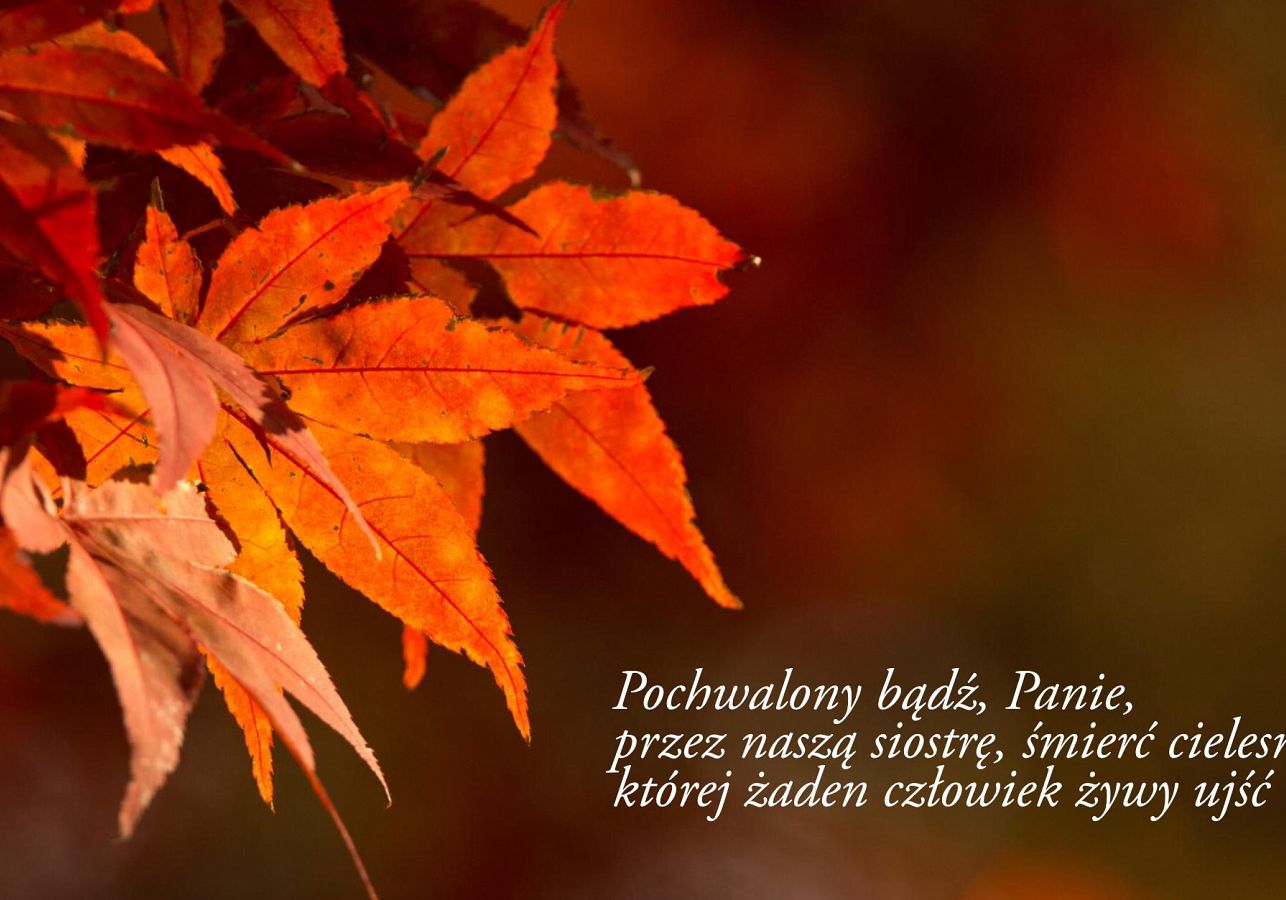 Pieśń słoneczna - Siostra śmierć i życie wieczne ludzi