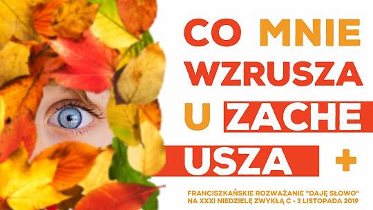 Co mnie wzrusza u Zacheusza: Daję Słowo – XXXI niedziela C – 3 XI 2019