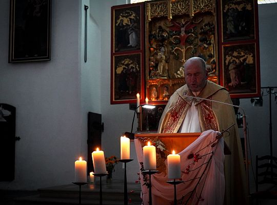 800. rocznica stygmatów św. Ojca Franciszka