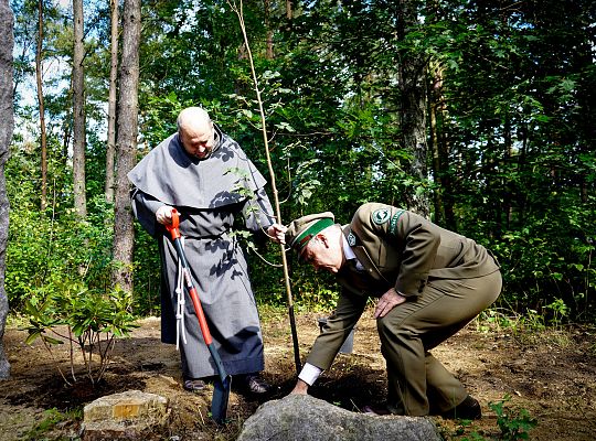 Święto Prowincji 2025